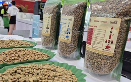 Giá cà phê hôm nay 28-11: Tăng trở lại, Malaysia mê cà phê Việt