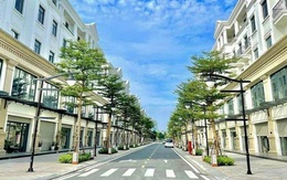 "Sở hữu 1 căn liền kề, 2 lô đất vùng ven Hà Nội, vợ tôi vẫn than phiền vì phải đi thuê nhà"