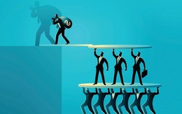 Chấn động: Một 'Shark' thừa nhận từng dùng mô hình đa cấp Ponzi để trả học phí đại học