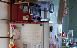 5 thứ kiêng kị đặt trên đầu tủ lạnh để tránh hao tài