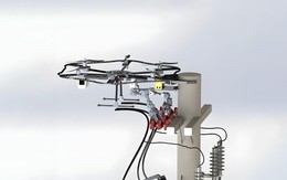 Nền tảng khoa học cơ bản “đâm chồi” những ngành công nghệ mới