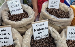 Giá cà phê hôm nay 29-11: Thêm phiên tăng và định hướng mới của cà phê Việt