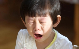 Giáo sư Harvard chỉ ra: 3 dấu hiệu ở trẻ dự báo lớn lên "không có tiền đồ"!