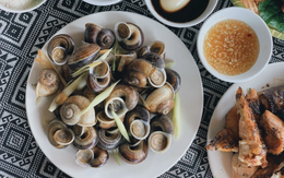 Loài vật tưởng chỉ có dưới nước, ai ngờ còn "bò" lên núi và trở thành đặc sản được săn lùng