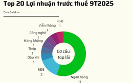 20 doanh nghiệp niêm yết lãi lớn nhất 9T2025: Có 10 cái tên lãi trên 15.000 tỷ gồm 7 ngân hàng và 3 công ty BĐS