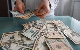 Cảnh báo hậu quả thảm khốc từ việc tịch thu tài sản đóng băng