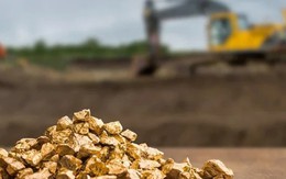 Công ty đào vàng lớn nhất Việt Nam giữa cơn sốt giá vàng lập đỉnh