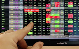 Tung 900 tỷ "gom" cổ phiếu Việt Nam trong phiên đầu tuần, tự doanh CTCK săn lùng mã nào nhiều nhất?