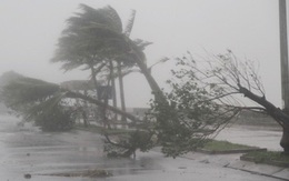 Cơn bão sắp đổ bộ vào đất liền nước ta có cường độ rất mạnh, gây mưa to đến rất to