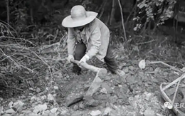 Người nông dân bất ngờ đào được con rắn đen mắt đỏ, chuyên gia một mực khẳng định là rồng: Sự thực là gì?