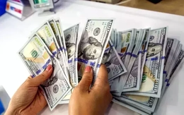 Kỳ vọng Fed cắt giảm lãi suất kéo USD xuống đáy nhiều tháng