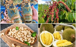 Điểm danh loạt hàng Việt Nam đạt kỷ lục xuất khẩu, nức tiếng thế giới
