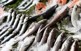 Mẹo chọn cá tươi và cách nhận biết cá nhiễm độc: Ai đi chợ cũng nên biết