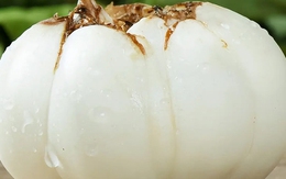 Mềm hơn khoai lang, bổ hơn khoai môn: Loại củ mùa đông vừa ra đã hot, ăn thường xuyên bổ thận, bổ phổi