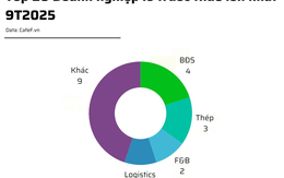 20 doanh nghiệp lỗ lớn nhất 9T2025: Novaland đầu bảng, ngành bất động sản áp đảo, 14 doanh nghiệp lỗ trăm tỷ