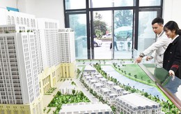 Lập sàn giao dịch bất động sản do Nhà nước quản lý: Kỳ vọng kéo giảm giá nhà