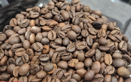 Giá cà phê hôm nay 4-11: Tăng vọt