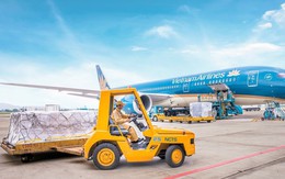 Dịch vụ Hàng hóa Nội Bài sắp chia cổ tức bằng tiền mặt tỷ lệ 80%