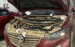 Bảo hiểm chi trả hàng trăm tỉ đồng tiền bồi thường thiệt hại do bão, lũ