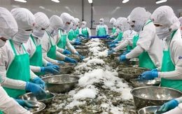 Kim ngạch xuất khẩu sẽ phá kỷ lục?