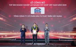 Tập đoàn DIC: 8 năm liên tiếp ghi dấu ấn trong bảng xếp hạng PROFIT500