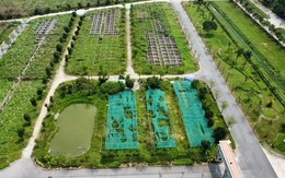 Hà Nội giao hơn 17ha đất để xây nhà liền kề và nhà ở xã hội