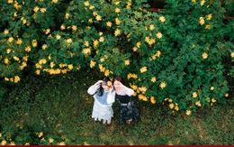 Mùa dã quỳ phủ vàng sườn núi Ba Vì, khách đổ về săn ảnh đầu đông