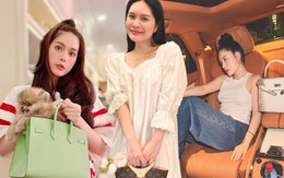 BST túi hàng hiệu của Đoàn Di Băng: Hermès đựng cún cưng, Dior và Chanel để đi chợ