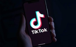 TikTok vượt mốc 460 triệu người dùng hàng tháng tại Đông Nam Á