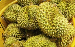 Lời cảnh tỉnh cho ngành sầu riêng