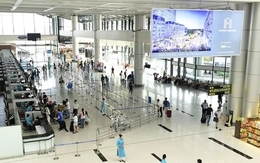 ACV ăn nên làm ra