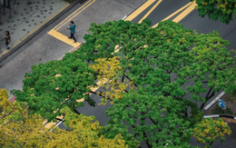 Bài toán 1,3 ngàn tỉ USD của Liên hợp quốc