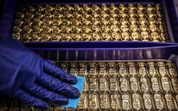 Campuchia công bố có kho vàng “cực lớn”, dự tính nhờ Trung Quốc "giữ hộ"