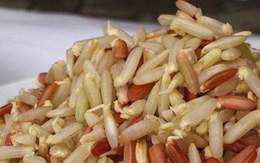 4 loại thực phẩm khi mọc mầm càng tăng giá trị