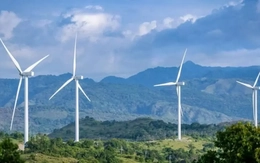 Nhiều doanh nghiệp điện gió Quảng Trị lo phá sản
