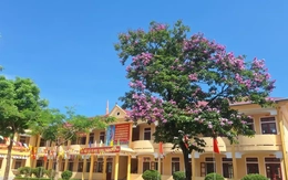 Nam sinh lớp 11 đánh học sinh lớp 9 tử vong