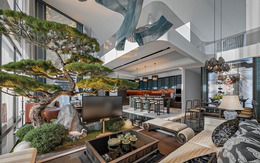 Trồng 3 cây này trong nhà: Tà khí không dám bén mảng, tiền tài tự tìm đến