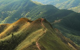 Ngoài biển, Quảng Ninh còn có 1 vùng núi nhiều người chưa biết: Đang vào mùa đẹp nhất, cảnh như phim