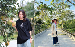 Hé lộ nhà riêng của Mỹ Tâm