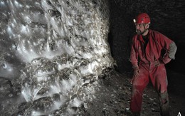 Hơn 111.000 con nhện, 106 mét vuông mạng chăng kín ẩn giấu bí mật về hệ sinh thái độc hại nhưng cân bằng