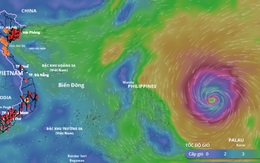 Bão Phượng Hoàng tăng cấp dữ dội, đã mạnh lên cấp cuồng phong, có đổ bộ vào đất liền nước ta?
