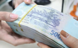 "Lãi suất Việt Nam tăng 0,5-1% thì vẫn rẻ so với giai đoạn trước đây và so với thế giới"