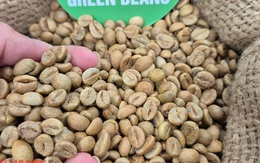 Giá cà phê hôm nay 9-11: Ai là vua xuất khẩu cà phê?