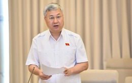 Đại biểu Quốc hội: Áp thuế 1-5% trên doanh thu là 'hết cả lãi' của hộ kinh doanh