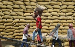Cầu yếu, cung tăng gây sức ép lên giá gạo xuất khẩu của các nước châu Á