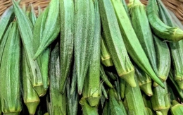 Rau chợ mùa này đầy rẫy hóa chất, nhưng 5 loại rau "ít thuốc, siêu lành" này ai cũng nên ăn