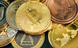 Thị trường tiền số hôm nay, 9-11: Diễn biến trái chiều