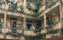 Có nên mua căn hộ tập thể ở trung tâm Hà Nội, gần 50 năm tuổi, diện tích sổ 40m², giá gần 6 tỷ đồng?