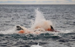 Lần đầu tiên con người vừa chụp được những hình ảnh đáng kinh ngạc này ở Na Uy