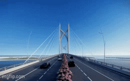 Cầu dây văng 11.000 tỷ đồng, nối với "mỏ vàng" tương lai ở thành phố giàu nhất Việt Nam